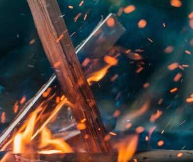 Reprogram Your Revenue Engine—Ignite Growth